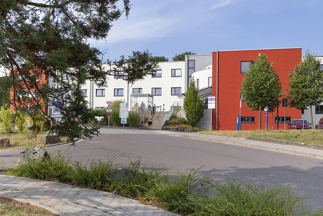 Straße mit Gehweg und Grünstreifen führt zu einem weißen und einem roten mehrstöckigen Gebäude mit Fenstern und Bäumen davor.